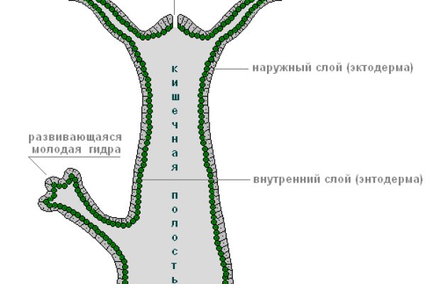 Что такое кракен маркетплейс в россии