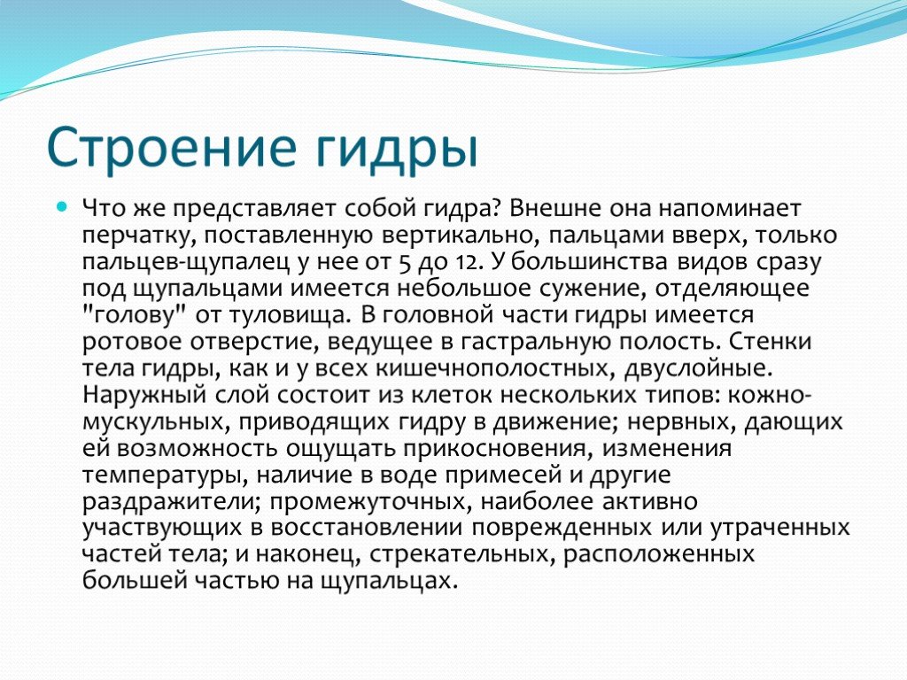 Проблемы со входом на кракен